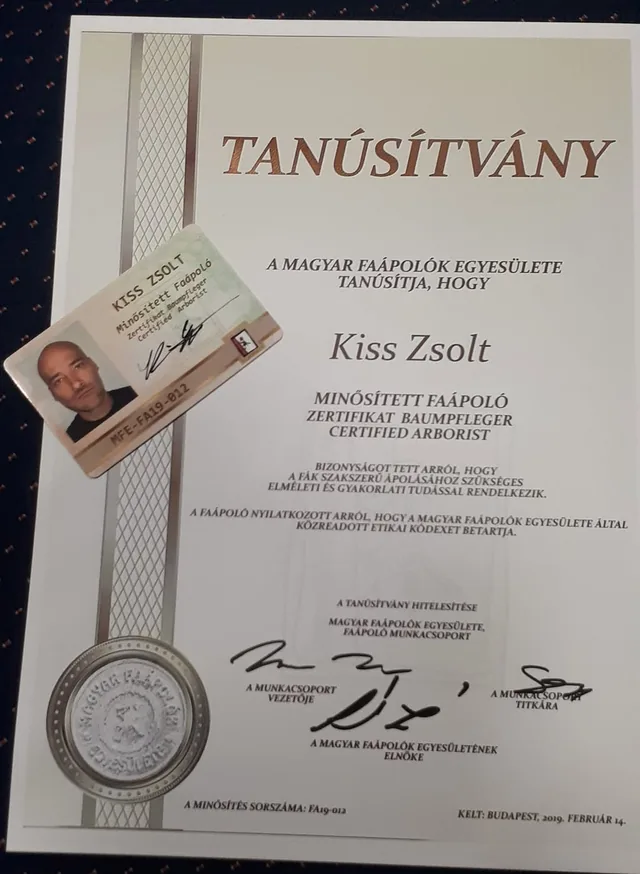 A Magyar Faápolók Egyesülete tanúsítványa Kiss Zsolt nevére: minősített faápoló / Zertifikat Baumpfleger / Certified Arborist, a minősítés sorszáma FA19-012, kelt Budapest, 2019. február 14. A papíron az egyesület minősítő kártyája és domborpecsétje.